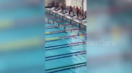 Cat rescued after falling from ceiling into pool during swimming competition