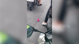 Woman rescues PINK baby chicken from busy road