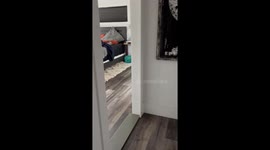 Sleepy Great Dane Refuses To Get Up