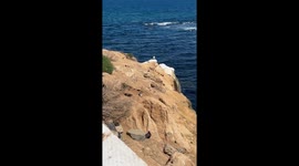 Squirrel Deep In Thought While Sitting On A Cliffside