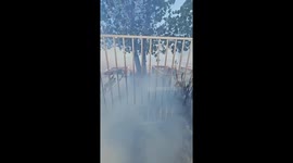 US: Kanab Creek Fire in Utah Leaves Nearly 1,000 Without Power