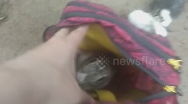 A Tearful Goodbye: Man Sets His Rabbit Free for a Joyful Life at Delhi’s NGO Farm