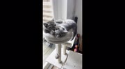 temp