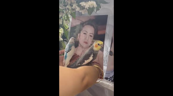 Pet birds appear to mourn owner's death by talking to pictures of her