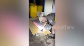 Police responding to murder call shocked to find 'dead body' is life-size sex doll