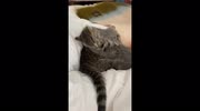 temp