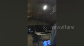 Pur-blo Escobar! Police catch 'Narco Kitten' with 300g of drugs strapped to its body