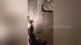 Social organisation rescued a cow 100 feet deep and 2 feet diameter well filled with poisonous gas in which a cow has fallen in Shahdol, Madhya Pradesh