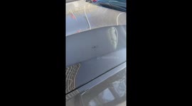 Tiny fiber moves through circle on car hood in Oslo, Norway