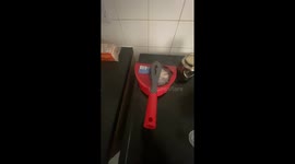 Kitchen blunder unfolds after mom forgets to turn the oven off in time