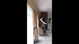 Man tries to remove bats from home using towel in Bergville, South Africa