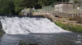 Protecting a Precious Species: South West Water Installs State-of-the-Art Eel Screens at Lopwell Dam