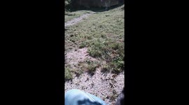 Cat Catches Mouse – But It Escapes!