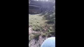 Cat Catches Mouse – But It Escapes! part three