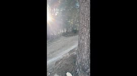 When Motocross Turns Into Motomess