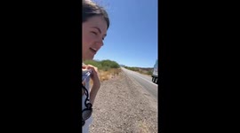 Newlyweds on way to honeymoon pull over to rescue kitten from highway