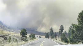 Fire forces evacuations as flames spread in Greer, Arizona