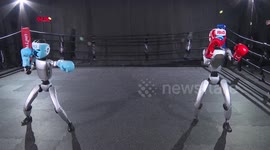 China: Humanoid robots prepare for boxing contest held in Hangzhou