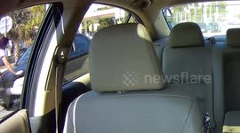 Driver Chased Down After Hit and Run