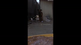 RC Car Feeding a Stray Dog