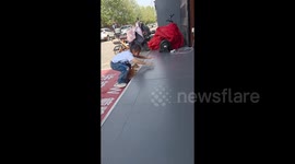 Wholesome moment young girl teaches tiny puppy how to climb up stairs