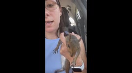 Woman rescues squirrel only for it to bite her finger