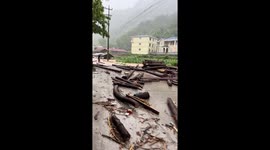 Rain triggers landslides leaving 10 missing in China
