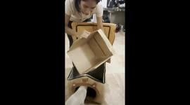 Cat Finally Accepts Playhouse, But Only With Box