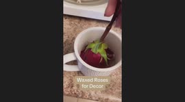 #postivethoughts #fypシ #diyproject #roses #art #waxing  like if you think it's a good idea 