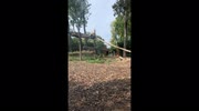 temp