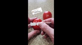 Suture kit vs. butterfly bandage on a tomato?! The internet had thoughts and 10 million opinions