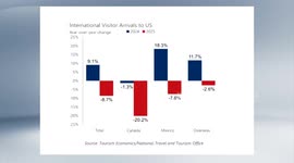 US: US to see fewer international travelers in 2025: data