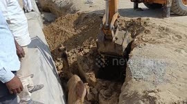 Camel Rescued with Help of JCB After Falling into Ditch in Banaskantha; Locals Blame Road Contractor for Negligence