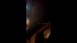 US motorist pulls over to help cat with plastic packet stuck on its head