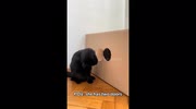 temp