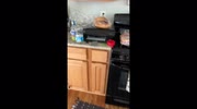 temp