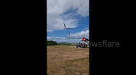 UK: On Global Kite Day, activists in Scotland flew kites in honor of late Palestinian poet Refaat Alareer in Gaza