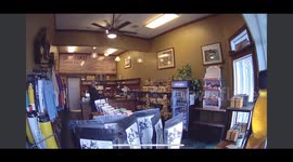 Pelica-ppuccino: wild pelican wanders into coffee shop leaving worker to jump on counter