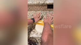 Man creates ultra-realistic food recipes entirely out of balloons