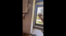 Man finds trapped hummingbird, lets kids see it before setting it free