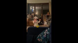 Little boy playing on a VR headset and trying to scare people away!