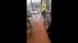 Chile: Powerful Tornado Rips Through Southern City of Puerto Varas, Damages Buildings 2