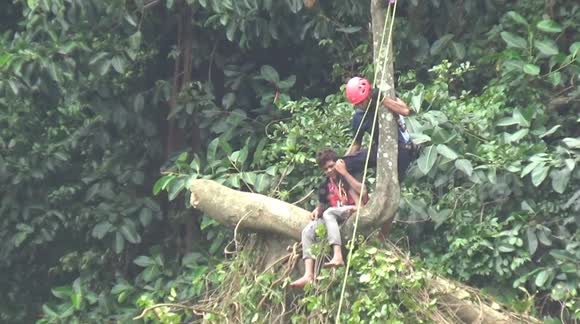 Dramatic Evacuation of Indonesian Man Trapped in Tree from 50 Meters Height