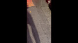 Real-life Ninja Turtle living in the sewers emerges in the Philippines