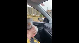 Jet-lagged tourists get overwhelmed by aggressive safari animals eager to grab their snacks