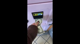 ‘Oop! She told me to shut up!’—Miss Kitty the Wise fortune-telling machine pulls no punches