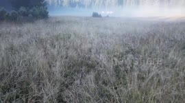 A calm freezing morning in a tent camp while the sun is rising in the midlde of the forest while everything is still covered in fog