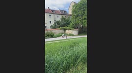 Skateboarder Explains Trick To Elderly Couple