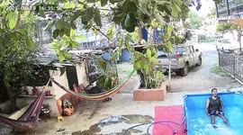Mango falls into pool and surprises man in La Unión, El Salvador