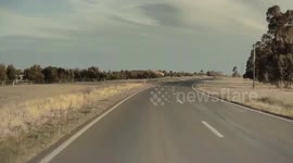 Tesla Autopilot Detects Ducks Crossing the Highway